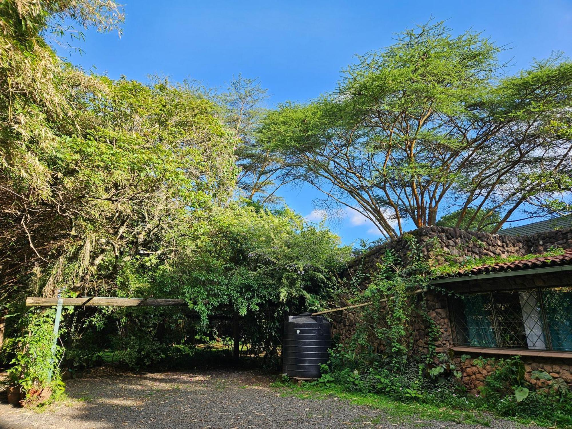 Mad Vervet Nairobi Backpackers Hostel ภายนอก รูปภาพ