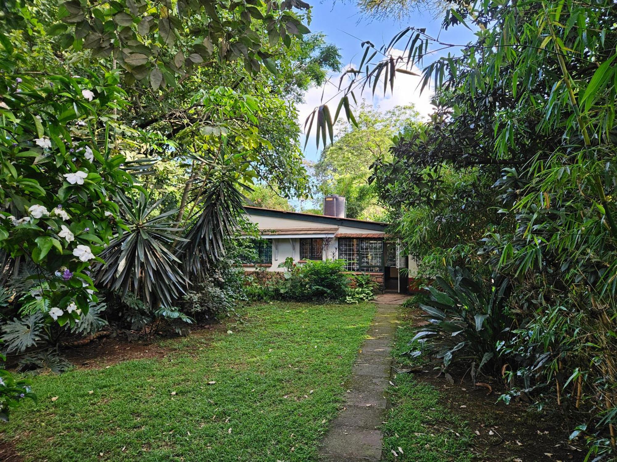 Mad Vervet Nairobi Backpackers Hostel ภายนอก รูปภาพ